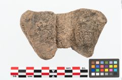 Foto von Hirschgeweihhammer (NHMW-PRAE-085891)